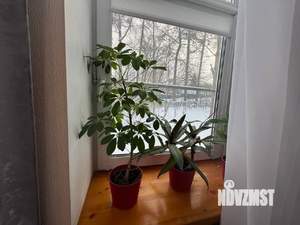 Дом 50м², 1-этажный, на длительный срок,