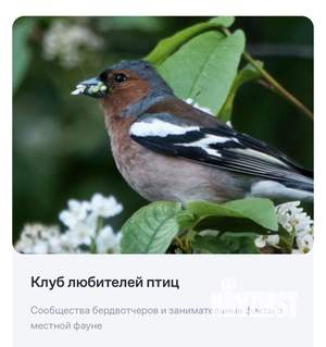 Дом 129м², 2-этажный, участок 6 сот.