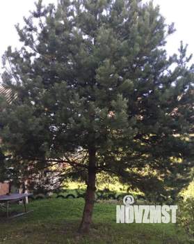 Дом 90м&sup2;, 1-этажный, участок 15 сот.  