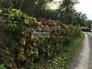 Дом 60м&sup2;, 2-этажный, участок 6 сот.  