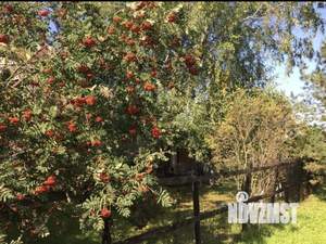 Дом 90м&sup2;, 1-этажный, участок 15 сот.  