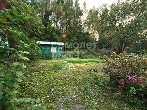 Дом 60м&sup2;, 2-этажный, участок 6 сот.  