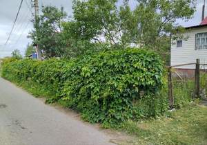 Дом 85м², 1-этажный, участок 9 сот.  