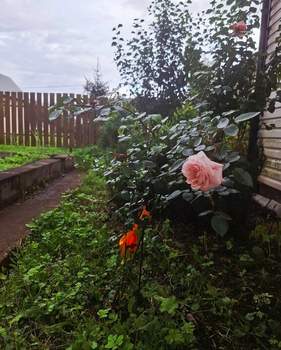 Дом 49м², 2-этажный, участок 8 сот.  