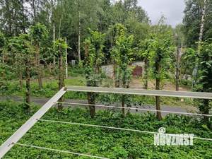 1-к квартира, на длительный срок, 30м2, 2/5 этаж
