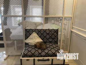 Студия квартира, на длительный срок, 35м2, 4/4 этаж