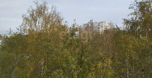 1-к квартира, вторичка, 32м2, 7/9 этаж