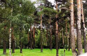 1-к квартира, вторичка, 51м2, 17/17 этаж