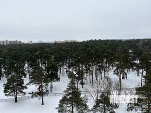 2-к квартира, вторичка, 68м2, 9/17 этаж