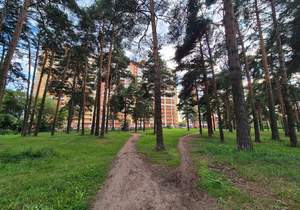 1-к квартира, вторичка, 33м2, 11/17 этаж