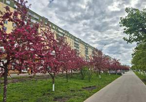 3-к квартира, вторичка, 59м2, 2/9 этаж