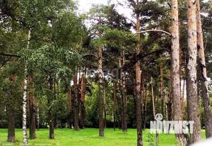 1-к квартира, вторичка, 51м2, 17/17 этаж